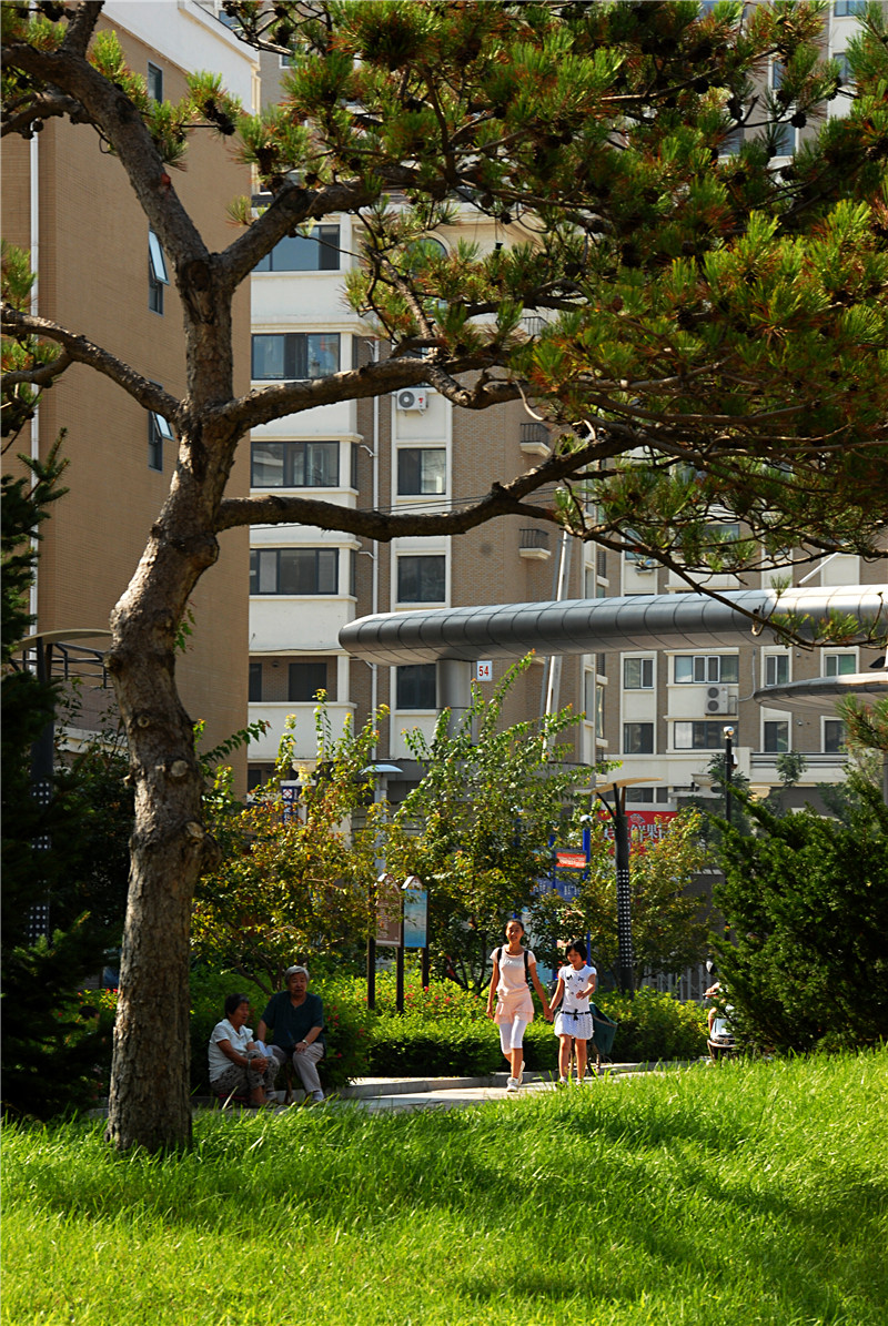 《回家》2等奖-张冬轶.jpg 《回家》2等奖-张冬轶.jpg