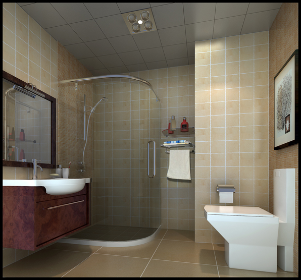 卫生间2011.3.11.jpg 卫生间2011.3.11.jpg